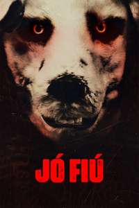 Good Boy - Posters