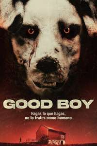 Good Boy - Posters