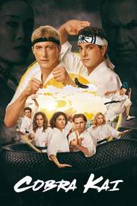 Cobra Kai - Posters