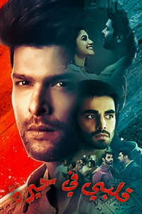 Bebaakee - Posters