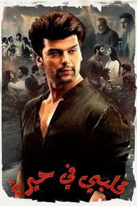 Bebaakee - Posters