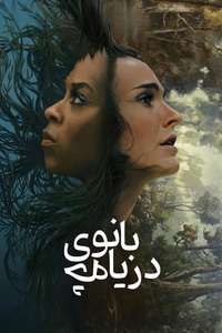 Lady in the Lake - Posters