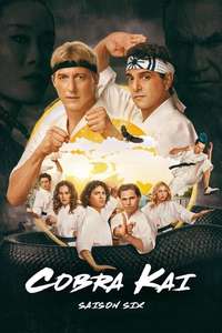 Cobra Kai - Posters