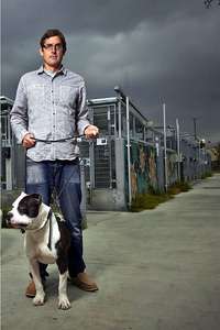Louis Theroux's LA Stories - Posters