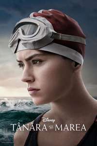 Young Woman and the Sea - Posters