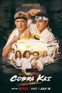 Cobra Kai - Posters
