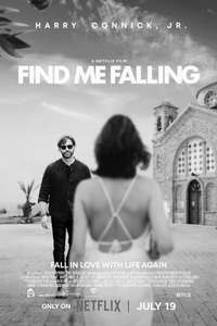 Find Me Falling - Posters