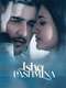 Ishq Pashmina