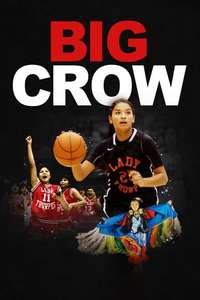 Big Crow - Posters