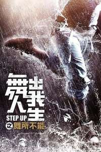 Step Up: Year of the Dance - Posters