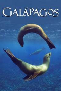 Galapagos - Posters