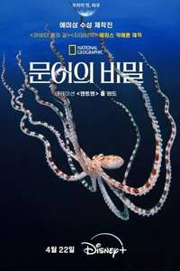 Secrets of the Octopus - Posters