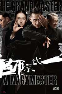 Grandmaster - Posters