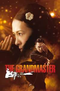 Grandmaster - Posters