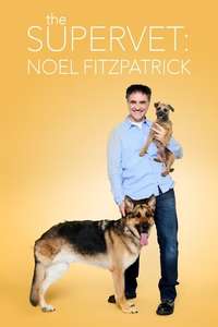 The Supervet - Posters