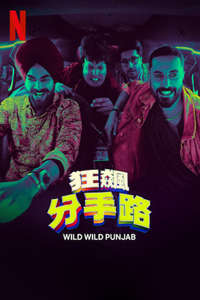 Wild Wild Punjab - Posters