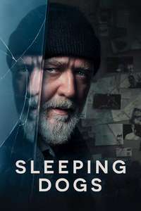 Sleeping Dogs - Posters