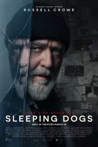 Sleeping Dogs - Posters