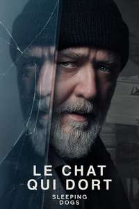 Sleeping Dogs - Posters