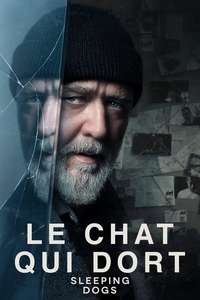 Sleeping Dogs - Posters