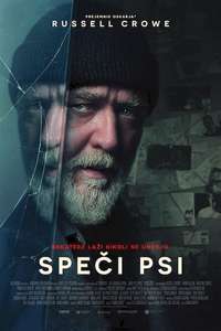 Sleeping Dogs - Posters