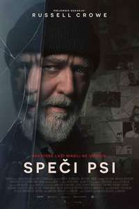 Sleeping Dogs - Posters