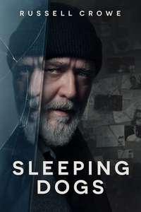 Sleeping Dogs - Posters