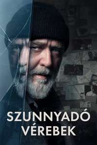 Sleeping Dogs - Posters