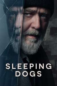 Sleeping Dogs - Posters