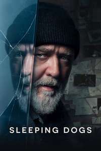 Sleeping Dogs - Posters