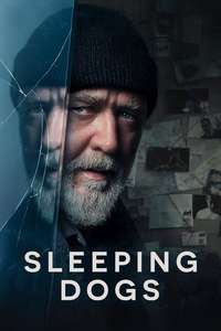 Sleeping Dogs - Posters