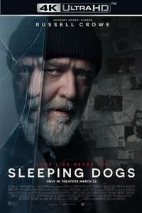 Sleeping Dogs - Posters