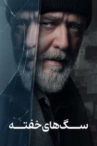 Sleeping Dogs - Posters