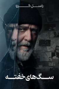 Sleeping Dogs - Posters