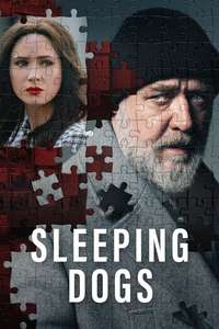 Sleeping Dogs - Posters