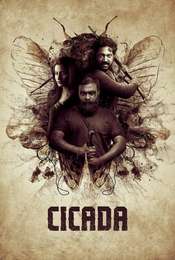 Cicada