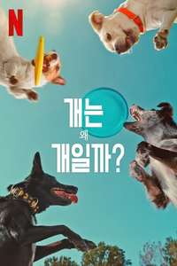 Inside the Mind of a Dog - Posters