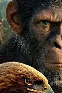 Kingdom of the Planet of the Apes - Posters