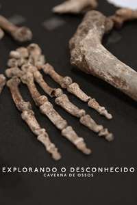 Unknown: Cave of Bones - Posters