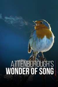 Attenborough's Wonder of Song - Posters