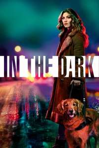 In the Dark - Posters