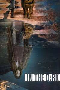 In the Dark - Posters