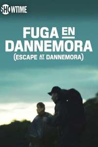 Escape at Dannemora - Posters
