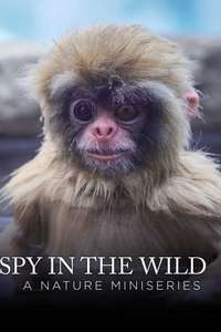 Spy in the Wild - Posters