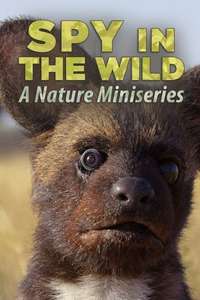Spy in the Wild - Posters