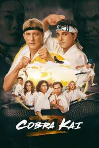 Cobra Kai - Posters