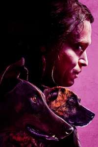 Dogman - Posters