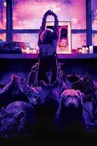 Dogman - Posters