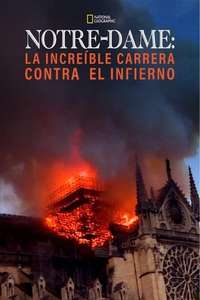 Notre-Dame: Race Against the Inferno - Posters