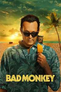 Bad Monkey - Posters